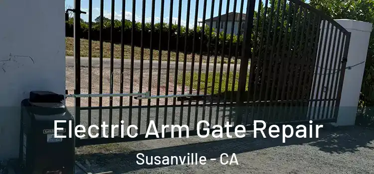  Electric Arm Gate Repair Susanville - CA