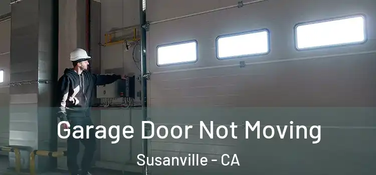  Garage Door Not Moving Susanville - CA
