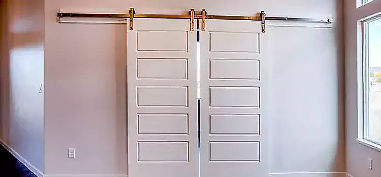 Glass Barn Door with Installation Hardware Kit Susanville