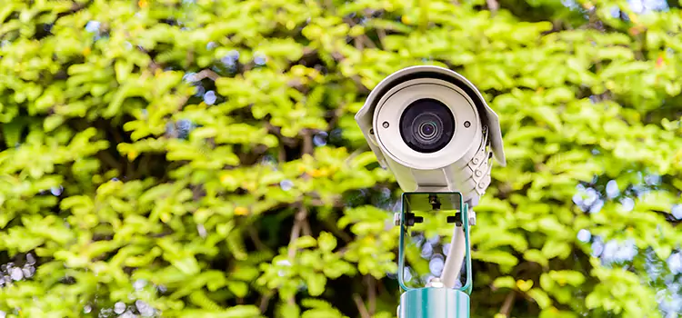 Advanced Surveillance Solutions for Every Need in Susanville