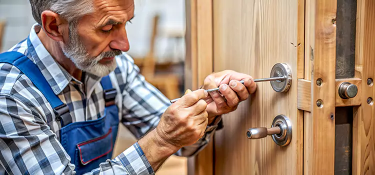 Mortise Replacement Lock Susanville
