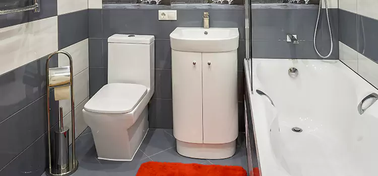 Hansgrohe Shaving Mirror Susanville